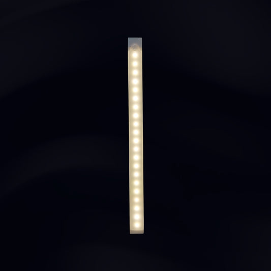 Smart Motion Sensor Light
